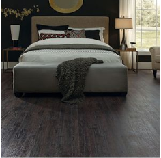 7281576116270480.png C.png